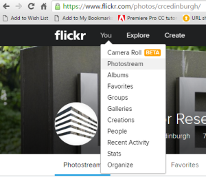 Screenshot showing the Flickr homepage when logged in. The 'You' tab has been highlighted and dropdown options are displayed: Camera Roll (Beta); Photostream; Albums;Favourites; etc...