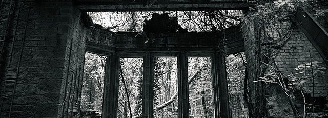 Dark overgrown ruin windows looking out onto forest