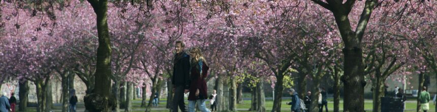 Man and woman walking across the Meadows (city park) in front of pink blossomed trees.