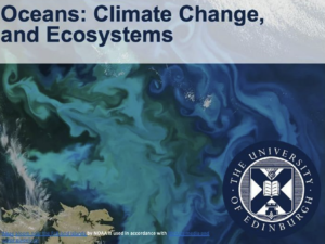An algae bloom in the ocean captured by a satellite