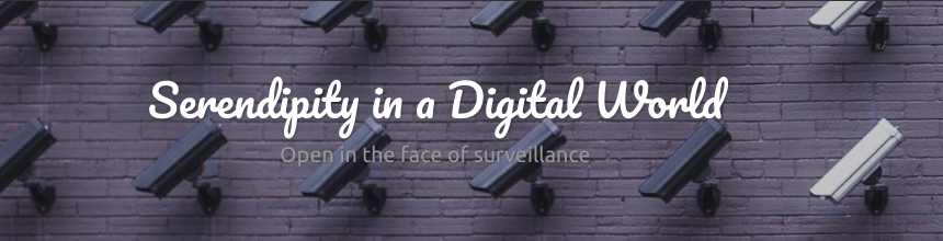 Brick background with security cameras and the text "Serendipity in a Digital World"