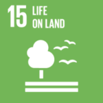 Illustrated tree and birds