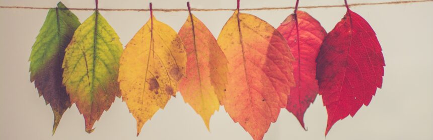 seven green and red leaves hanging from a string against a white background.