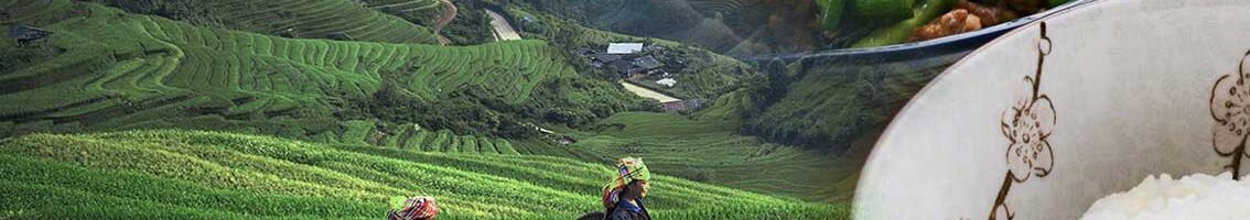 An image of rice paddy fields and workers, superimposed with two dishes of rice and beans.