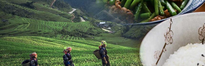 An image of rice paddy fields and workers, superimposed with two dishes of rice and beans.