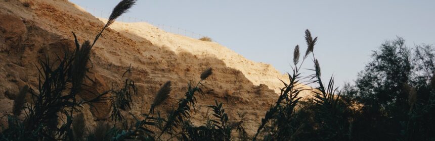 Tall crops and sandy rock formations